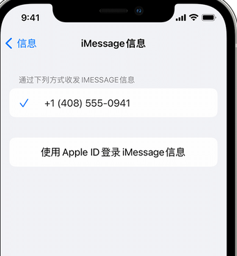 五大连池apple维修iPhone上无法正常发送iMessage信息 