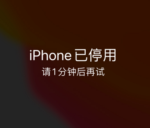 五大连池苹果手机维修分享:iPhone 显示“不可用”或“已停用”怎么办？还能保留数据吗？ 