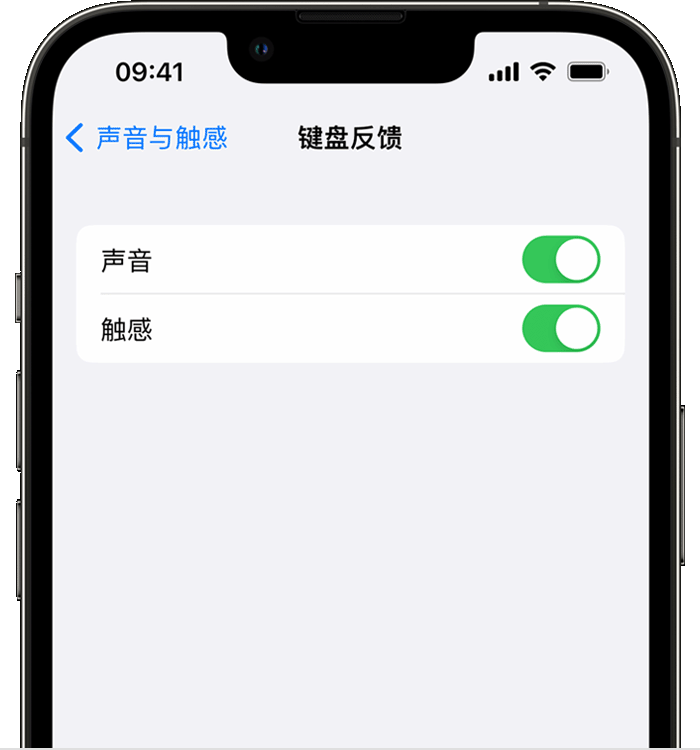 五大连池苹果14维修店分享如何在 iPhone 14 机型中使用触感键盘 