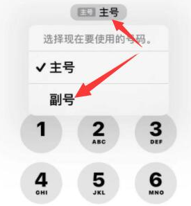 五大连池苹果14维修店分享iPhone 14 Pro Max使用副卡打电话的方法 