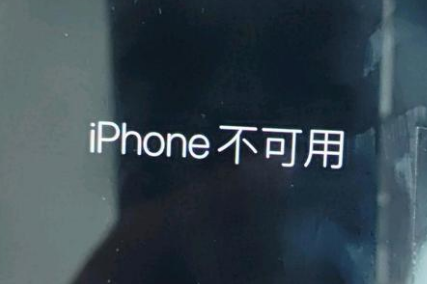 五大连池苹果服务网点分享锁屏界面显示“iPhone 不可用”如何解决 