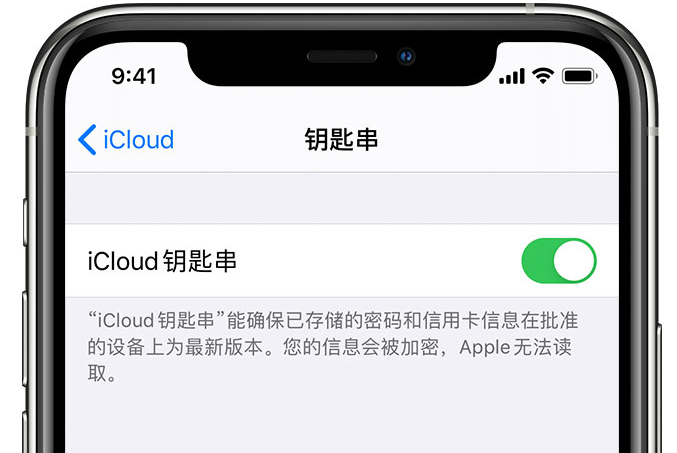 五大连池苹果手机维修分享在 iPhone 上开启 iCloud 钥匙串之后会储存哪些信息 