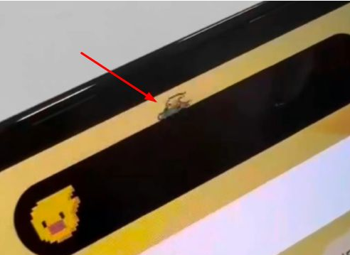 五大连池苹果14维修分享iPhone 14 Pro Max灵动岛怎么养宠物 