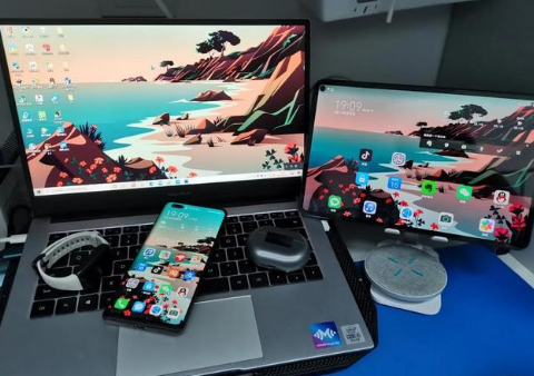 五大连池苹果手机维修分享为什么iPad屏幕更大价格却比iPhone低 