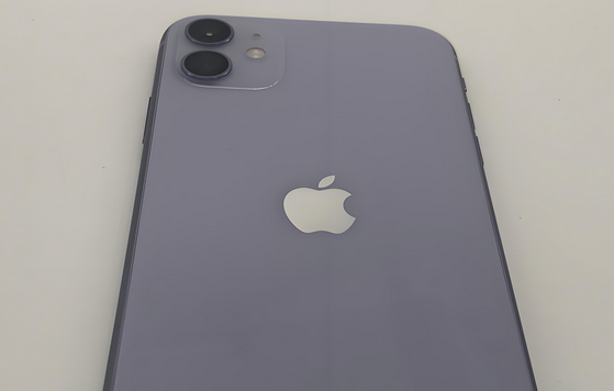 五大连池苹果11系统维修分享iPhone11手机系统崩溃无法开机如何解决 